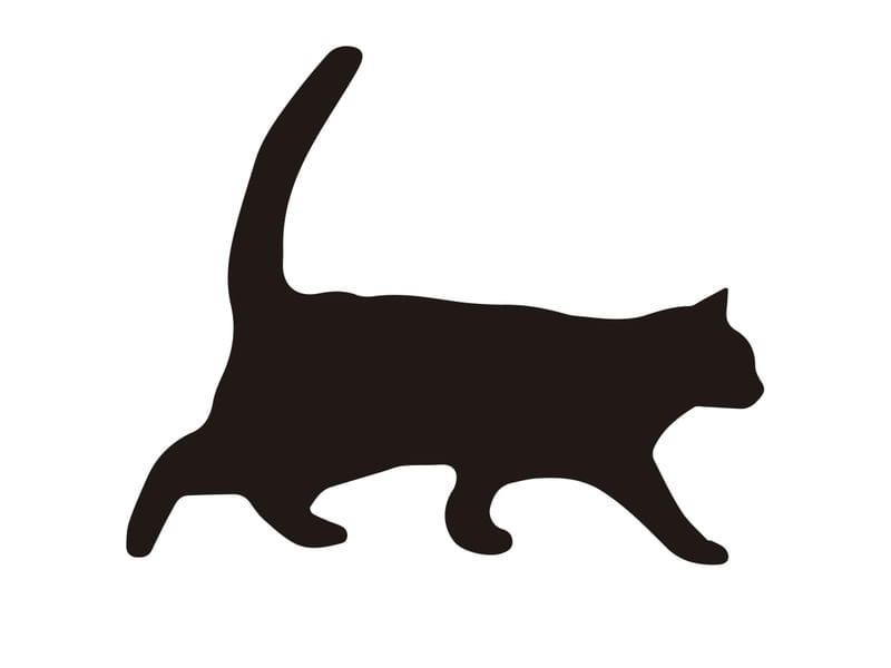 CAT SILHOUETTE
