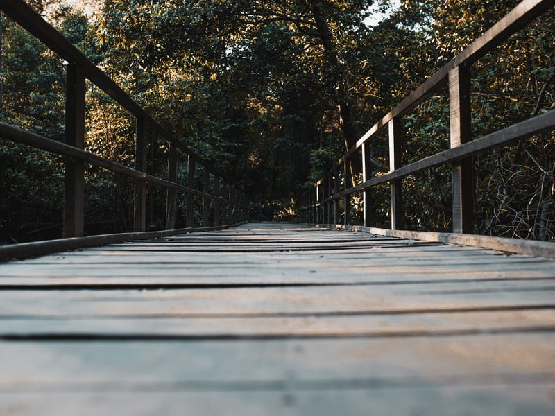 FIM DE TARDE NA PONTE