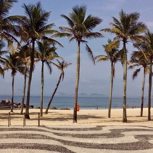 COQUEIROS COPACABANA 101
