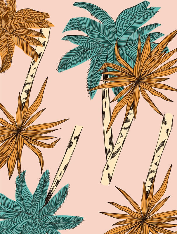 COQUEIROS TROPICAIS