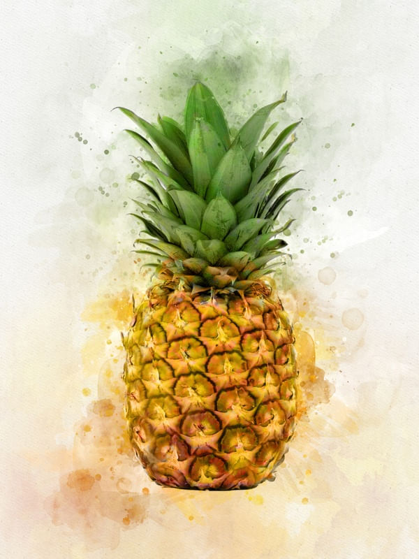 WATERCOLOR PINEAPPLE