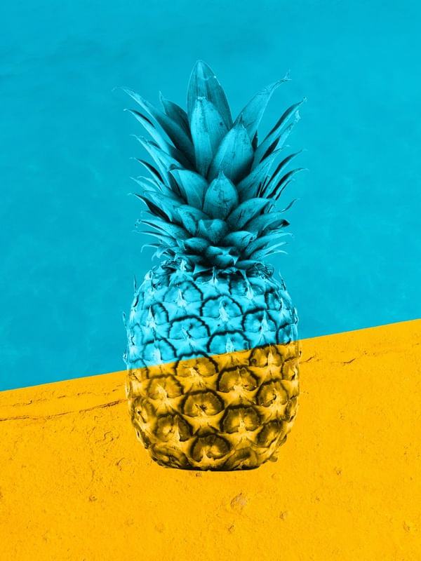 COLLAGE PINEALLPE