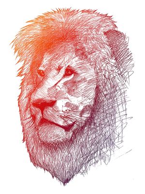 KING LION