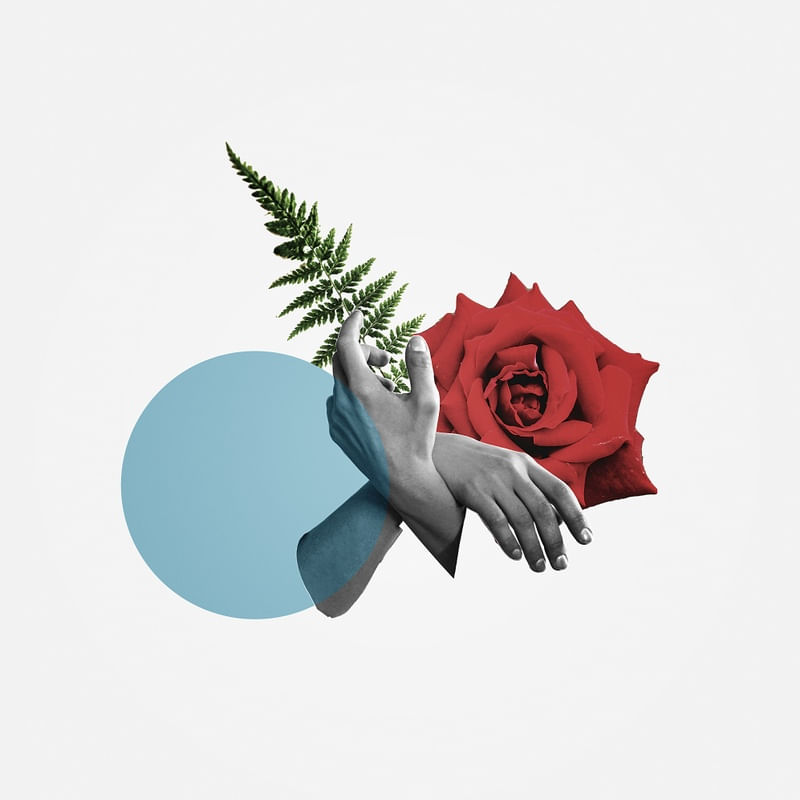 A MOTHER ROSE