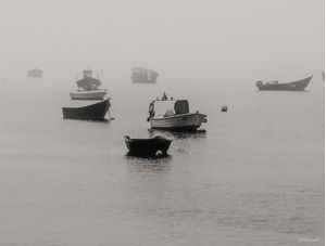 BARCOS DA FOZ DO RIO DOURO