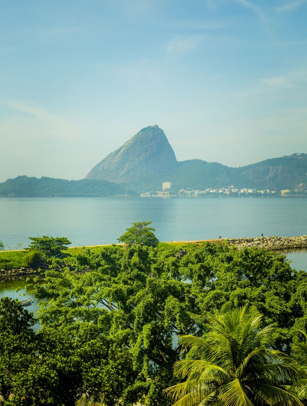 CORCOVADO COM VERDE
