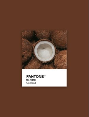PANTONE COCONUT