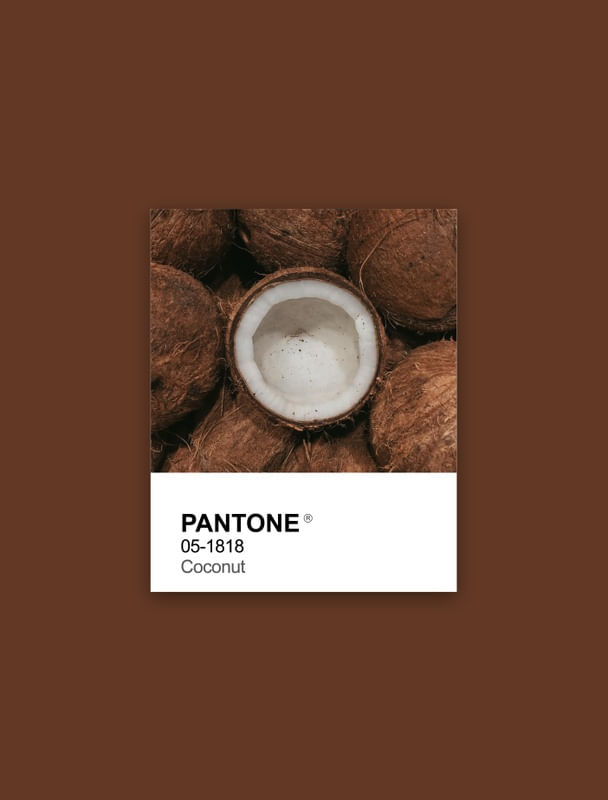PANTONE COCONUT