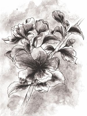 HIBISCUS SILENCIOSOS