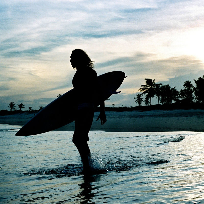 SURFNOFRANCÊS