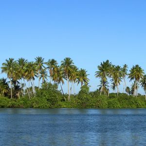 MASSAGUEIRA 2