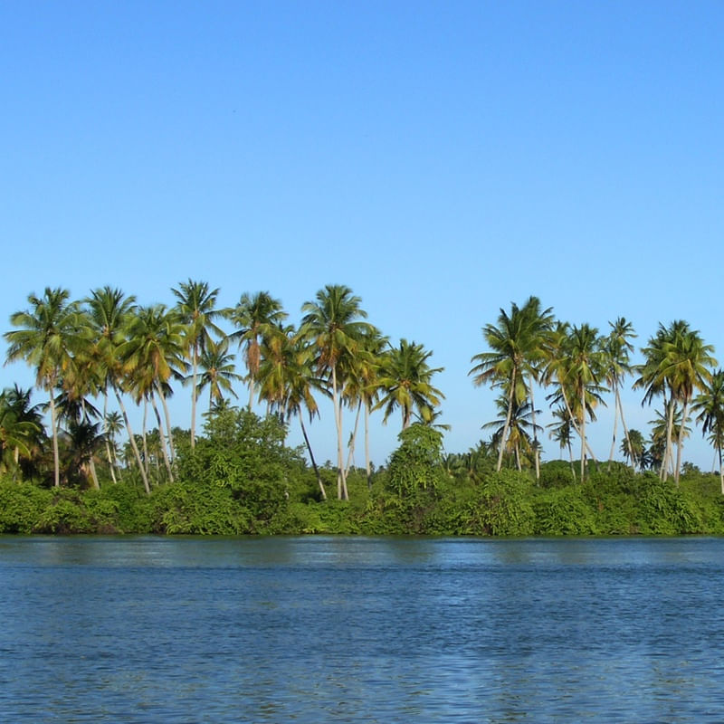 MASSAGUEIRA 2