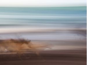 PRAIA ABSTRATA II