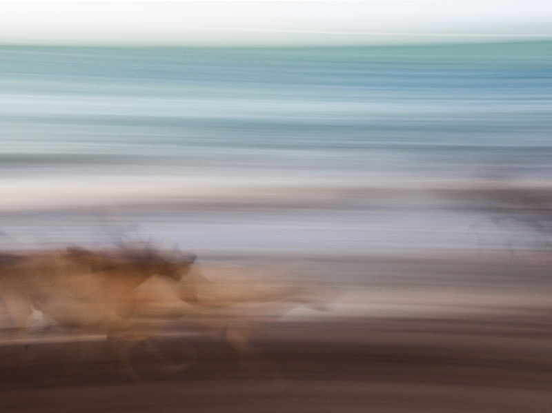 PRAIA ABSTRATA II