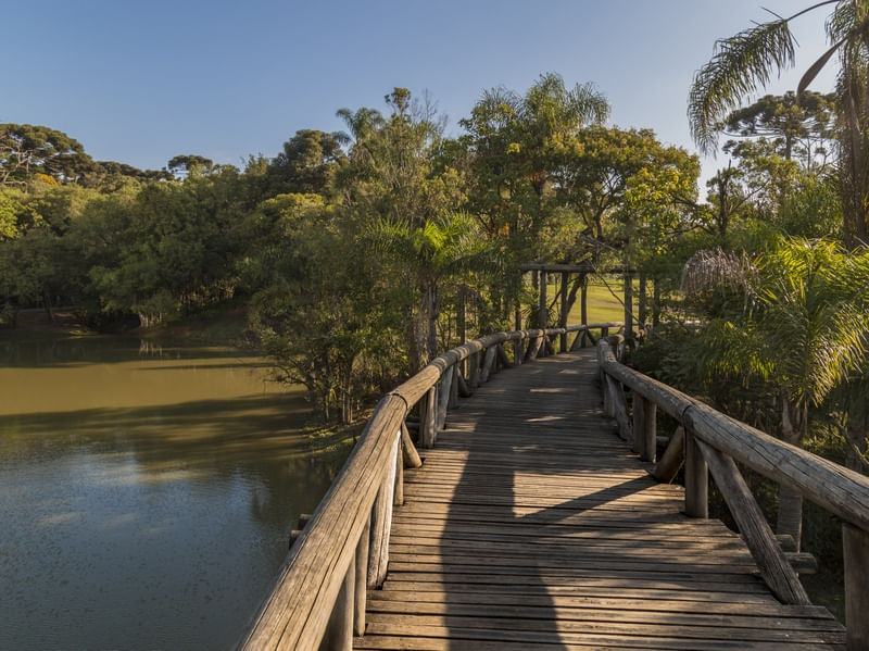 CAMINHOS DO JARDIM