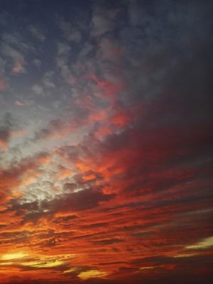 A FIRE IN THE SKY