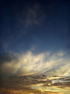 PERENNIAL DRIFT