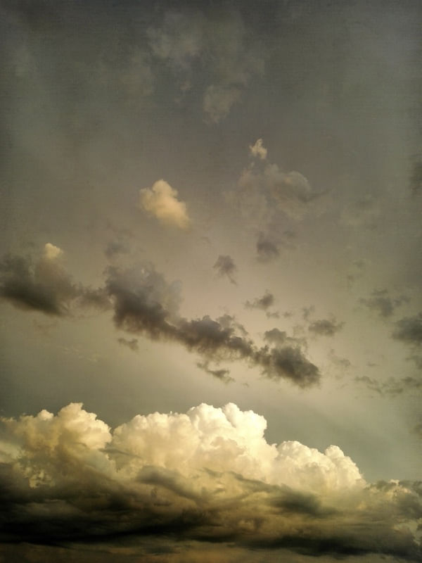 THE SPLENDOR