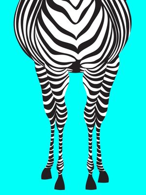 ZEBRA 1