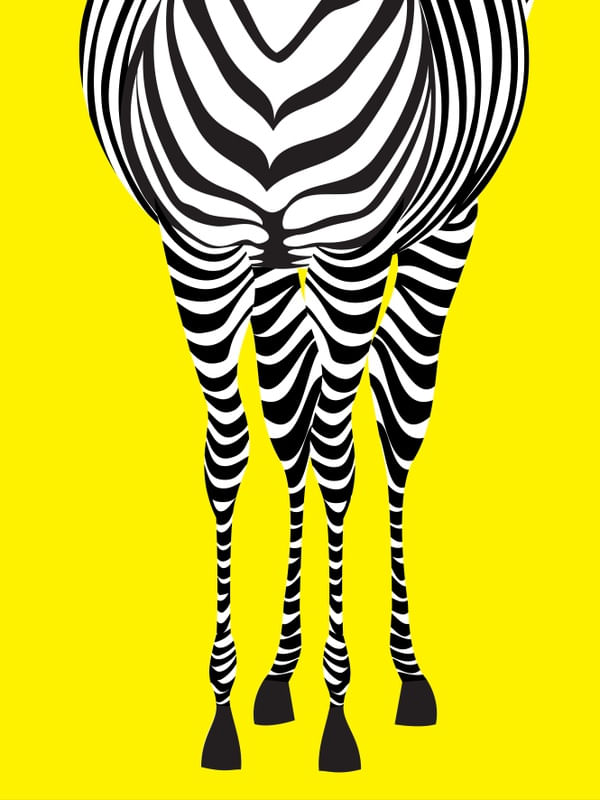 ZEBRA 2