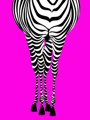 ZEBRA 3