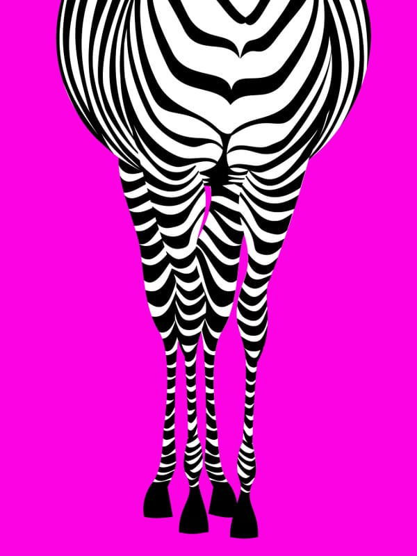ZEBRA 3