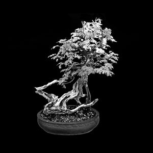 NATUREZA 001 PB LV