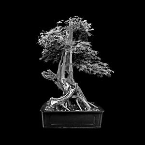 NATUREZA 003 PB LV