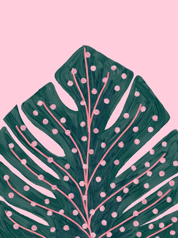 POLKA DOTS MONSTERA