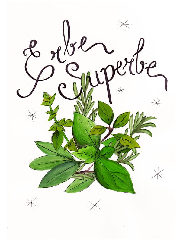 ERBE SUPERBE