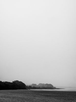 CHUVA NO PANTANAL