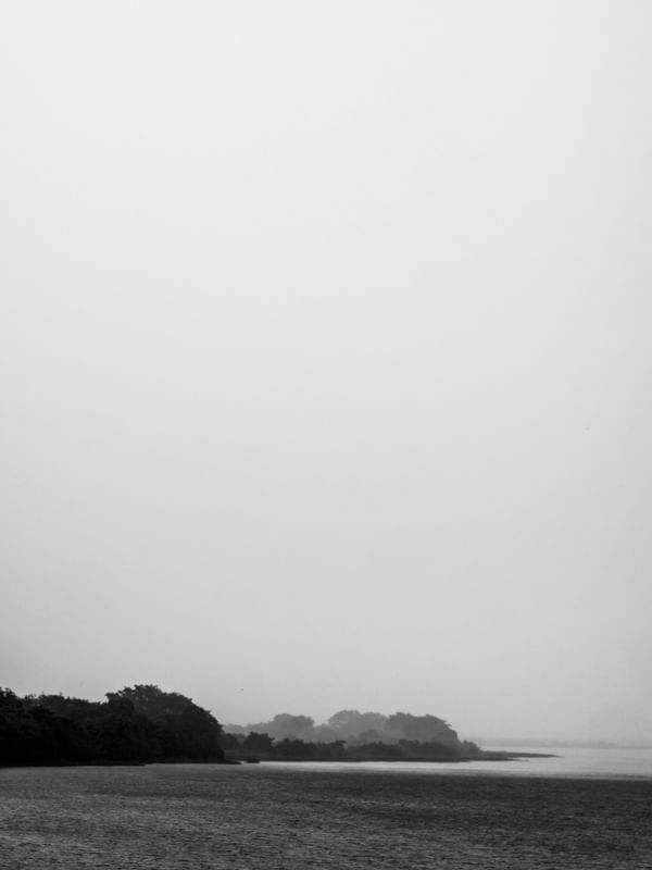 CHUVA NO PANTANAL