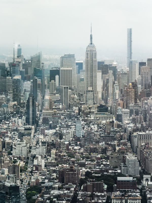 NY FOREVER II