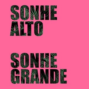 SONHE ALTO, SONHE GRANDEII