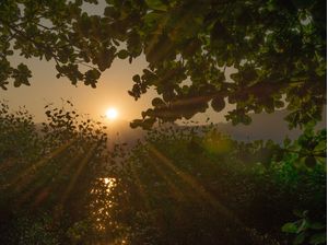 SOL DA LAGOA