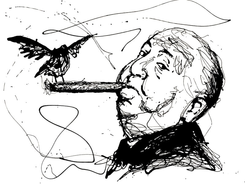 HITCHCOCK AND THE BIRD