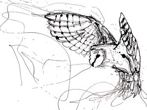 OWL DRIPPING PAINT