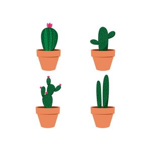 4 CACTOS