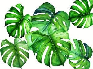 TROPICAL MONSTERA LEAF