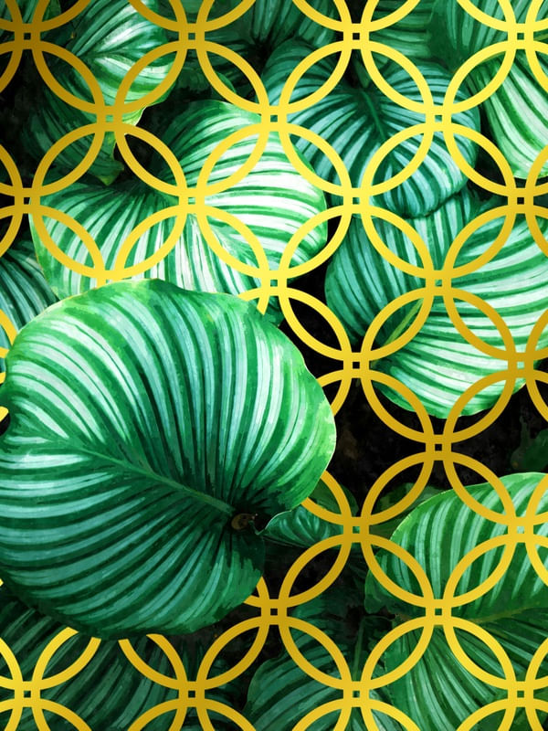 FOLHAS E CÍRCULOS DOURADOS
