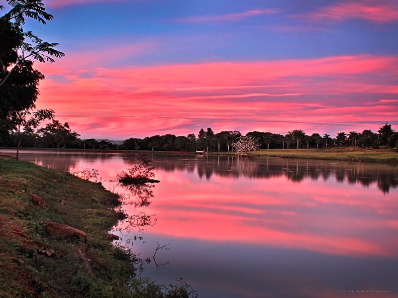 CÉU DE CLARA