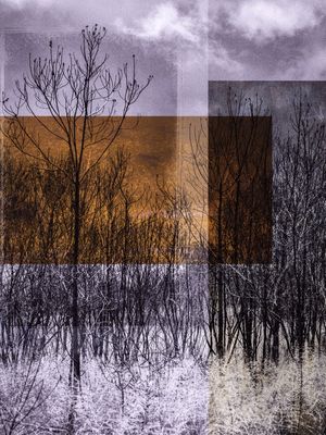 SQUARED LANDSCAPE