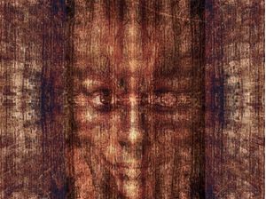 PINE FACED