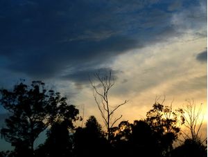 FIM DE TARDE COR