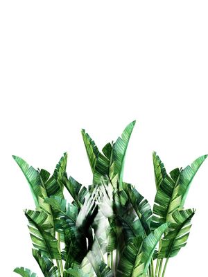 NACKED BODY IN BANANA LEAVES
