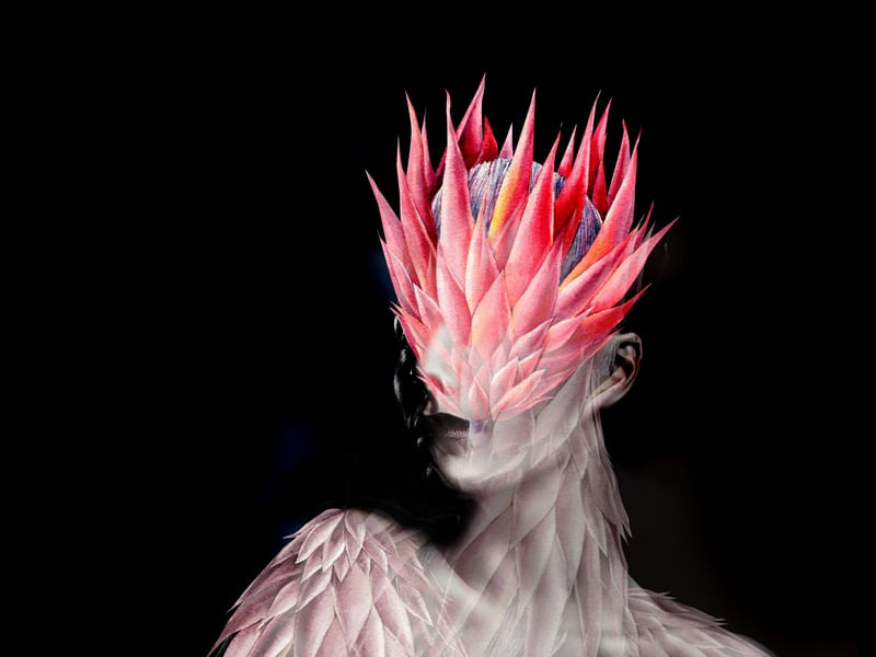 TROPICAL PROTEA FLOWER
