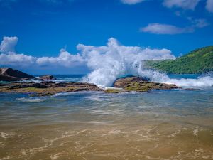 A ROCHA - TRINDADE