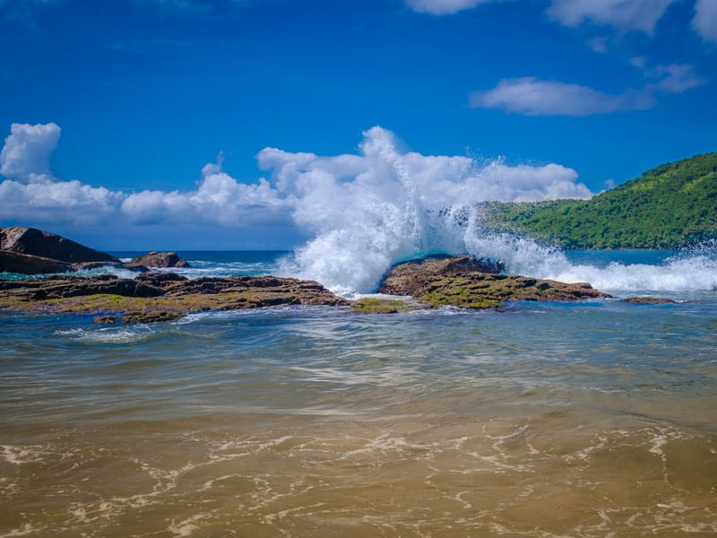 A ROCHA - TRINDADE