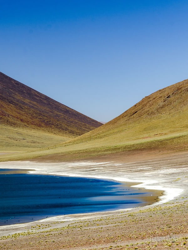 LAGUNA ABSTRATA