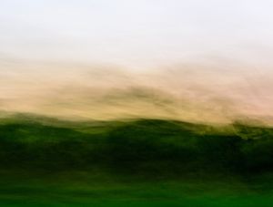 PAISAGEM MÓVEL VEGETAÇÃO